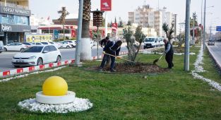 Adıyaman'da Ağaçlara Bahar Bakımı