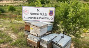 Adıyaman’da arı kovanı hırsızlığına 1 gözaltı