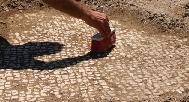 Adıyaman'da Balıkçılar, 6'ıncı Yüzyıla Ait Mozaik Buldu