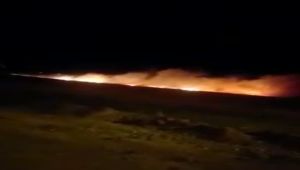 Adıyaman’da buğday tarlasında yangın