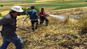 Adıyaman'da buğday tarlasında yangın - Videolu Haber