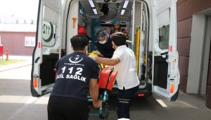Adıyaman’da çapa motoru devrildi: 12 yaralı - Videolu Haber