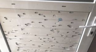 Adıyaman'da ceviz büyüklüğündeki dolu yağışı hayatı felç etti - Videolu Haber