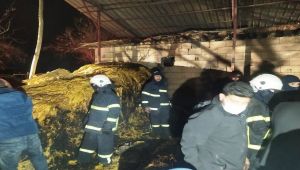 Adıyaman'da çıkan yangında 900 kilo tütün küle döndü - Videolu Haber