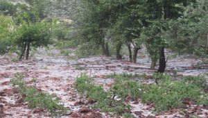Adıyaman'da Dolu Yağışı Hayatı Felç Etti - Videolu Haber