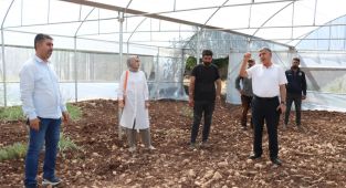 Adıyaman'da GAP desteği ile 46 çiftçi sera sahibi oluyor