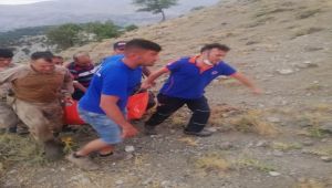 Adıyaman’da iki gün önce kaybolan yaşlı adam ormanda bulundu - Videolu Haber
