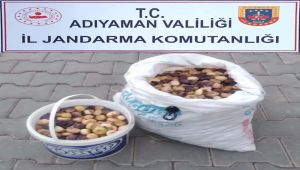 Adıyaman'da incir hırsızlığı: 1 tutuklu