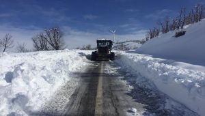 Adıyaman'da kapalı köy ve mezralarda yol açma çalışmaları sürüyor
