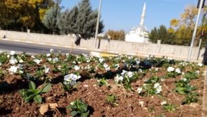 Adıyaman'da Kavşaklar Rengarenk