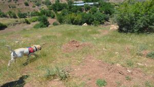 Adıyaman'da kaybolan genç, 2 gündür aranıyor - Videolu Haber