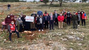 Adıyaman'da Mercan Hatıra Ormanı oluşturuldu