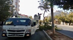 Adıyaman’da mevsimsel budama çalışmaları sürüyor