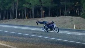 Adıyaman'da motosiklet üzerindeki tehlikeli yolculuk kamerada - Videolu Haber