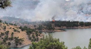 Adıyaman’da orman alanda korkutan yangın - Videolu Haber