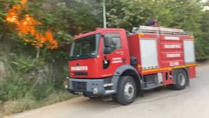 Adıyaman'da orman yangını