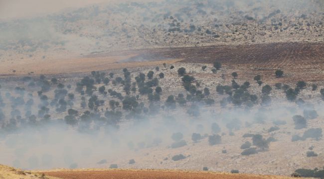 Adıyaman'da Ormanlık Alanda Yangın - Videolu Haber