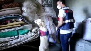 Adıyaman'da PKK'ya finans sağlayan 1 şüpheli tutuklandı - Videolu Haber