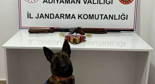 Adıyaman'da ruhsatsız tabanca ve tüfeğe 1 tutuklama