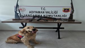 Adıyaman'da silah kaçakçılığı: 2 gözaltı