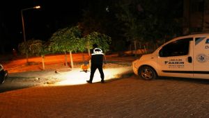 Adıyaman’da tabancayla havaya ateş edip kaçtılar
