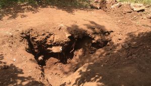 Adıyaman'da toprağa gömülü kafatası ve insan kemikleri bulundu - Videolu Haber