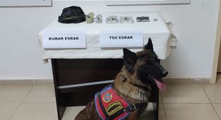 Adıyaman'da toprağa gömülü uyuşturucuya bir gözaltı