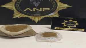 Adıyaman’da uyuşturucu operasyonu: 1 gözaltı - Videolu Haber