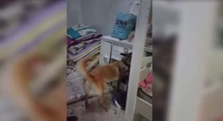Adıyaman'da uyuşturucuya 5 gözaltı - Videolu Haber