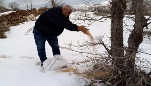 Adıyaman'da Yaban Hayvanları İçin Doğaya Yem Bırakıldı
