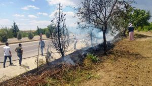 Adıyaman’da yol kenarındaki ağaçlar alev alev yandı