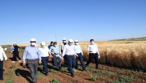 Adıyaman’dan yurt dışına yerli ve milli tohum ihracatı