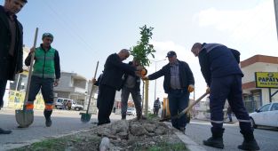 Adıyaman ilkbahar’a hazırlanıyor