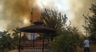 AFAD binası etrafında büyük bir yangın çıktı - Videolu Haber