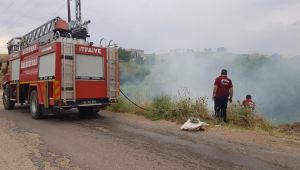 Ağaçlık alanda çıkan yangın korkuttu
