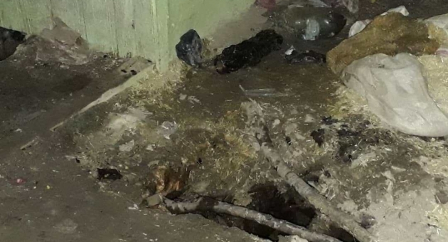 Ahırda Çıkan Yangında Çok Sayıda Hayvan Telef Oldu