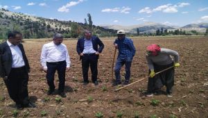 AK Parti grubundan tütün üreticilerini sevindiren teklif