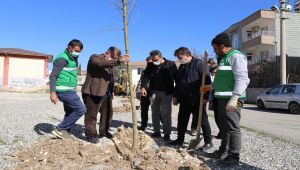 Alitaşı Mahallesi de ‘Mahalle Bahçesi’ne kavuştu