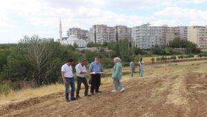 Arikent dere yolu yenileniyor