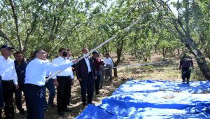 Badem zirvesi ‘Karakuş tarihi ören yerinde’ yapıldı
