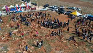 Bağlarbaşı Hatıra Ormanına Her Hafta Sonu Fidan Dikilecek