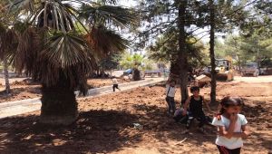 Barış Pınarı bölgesinde park ve bahçeler halka açılıyor - Videolu Haber
