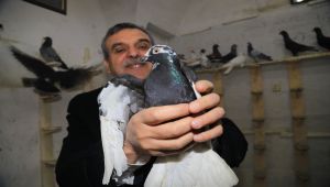 Başkan Beyazgül, Kuş Azat Etti
