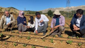 Başkan Binzet: İktidar hamaset yapmasın, üreticisine destek versin