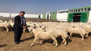 Başkan Çelik: , küçükbaş hayvancılıkta mevcut desteklerin sürdürülmesini istiyoruz