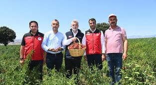 Başkan Görgel: Kahramanmaraş Biberi hasadına katıldı