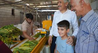 Başkan Hallaç, hasat yapan çiftçileri ziyaret etti