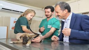 Başkan Kılınç, Hayvan Severlerle Rehabilitasyon Merkezinde Buluştu