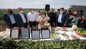 Başkan Şahin: Bütün dünyaya şifayı Araban’dan dağıtacağız - Videolu Haber