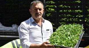 Başkent Belediyesi’nin sebze fidesi dağıtımı tekrar başladı